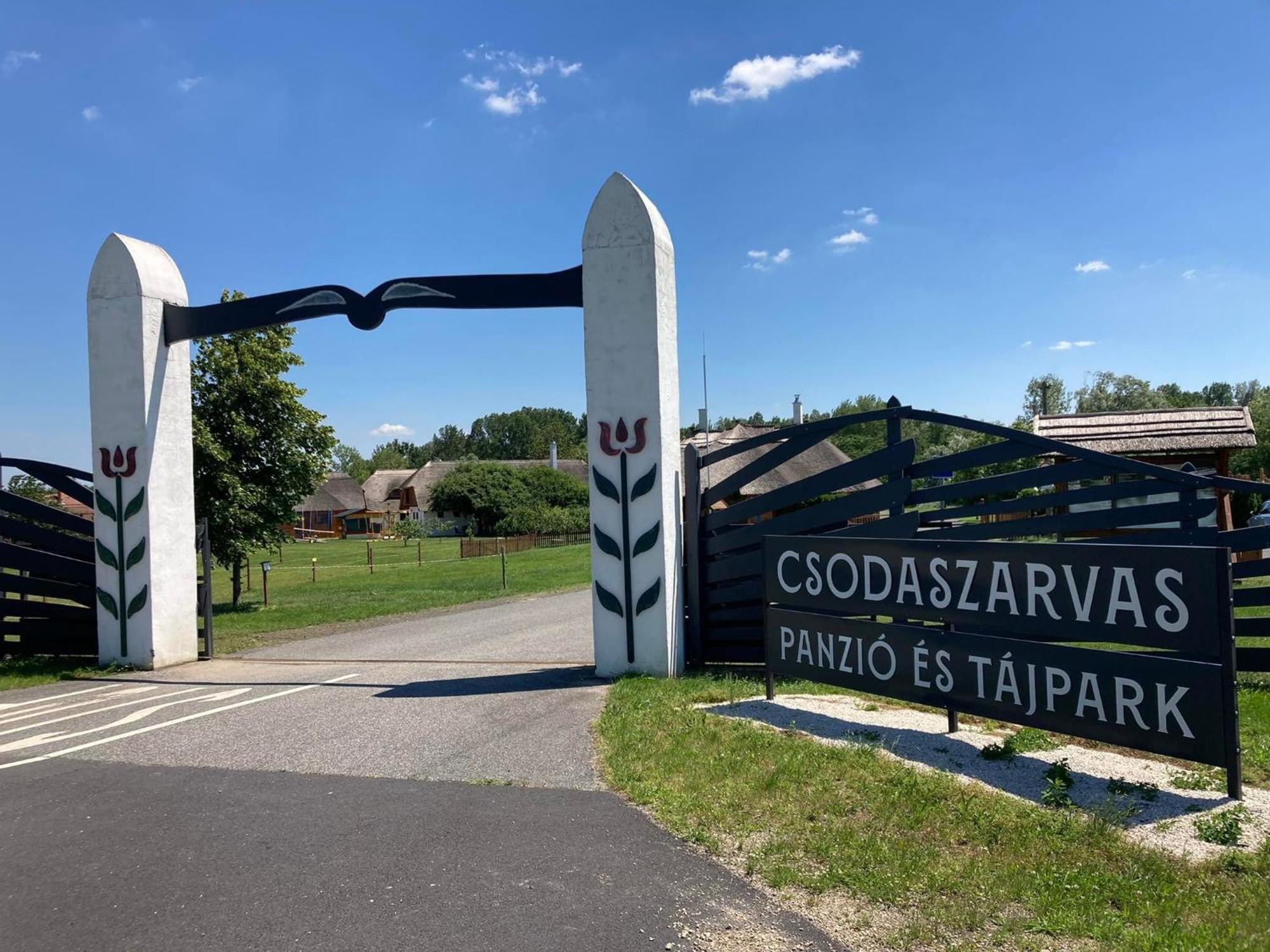 Csodaszarvas Vendégházak Rabahidveg Exterior foto